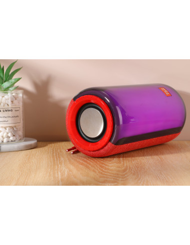 Mini Enceinte Bluetooth 10W Portable LED Lumineuse TWS Autonomie 2H Mini Enceinte Bluetooth 10W Portable LED Lumineuse TWS Autonomie 2H