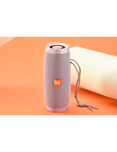 Haut-parleur sans fil Portable - FM Radio - Bluetooth avec Leds Haut-parleur sans fil Portable - FM Radio - Bluetooth avec Leds