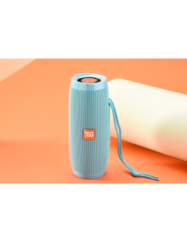 Haut-parleur sans fil Portable - FM Radio - Bluetooth avec Leds Haut-parleur sans fil Portable - FM Radio - Bluetooth avec Leds