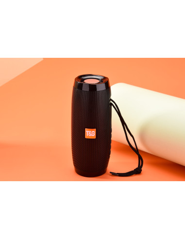 Haut-parleur sans fil Portable - FM Radio - Bluetooth avec Leds Haut-parleur sans fil Portable - FM Radio - Bluetooth avec Leds