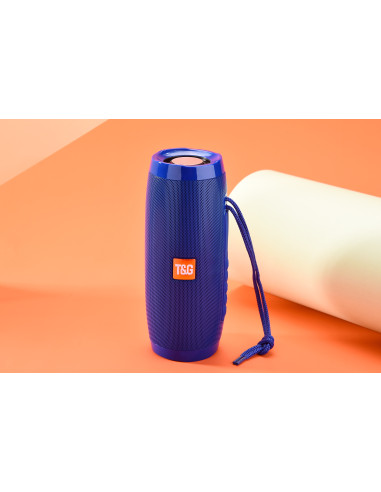 Haut-parleur sans fil Portable - FM Radio - Bluetooth avec Leds Haut-parleur sans fil Portable - FM Radio - Bluetooth avec Leds