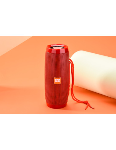 Haut-parleur sans fil Portable - FM Radio - Bluetooth avec Leds Haut-parleur sans fil Portable - FM Radio - Bluetooth avec Leds