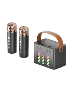 Station Enceinte Karaoké portable + Micro sans fil