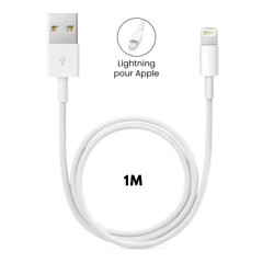 Cable USB Lightning pour Apple iPhone